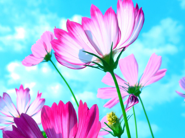 吹田市に住むメイン2